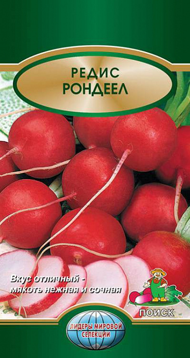Редис Рондеел фото Редис Рондеел 